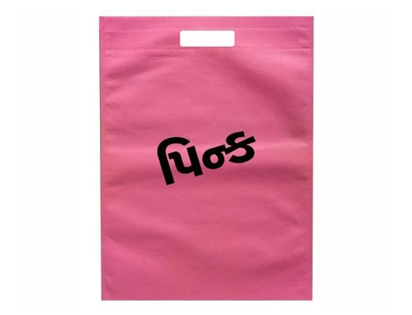 LBT_1_a-Non-Woven-Carry-Bag-004