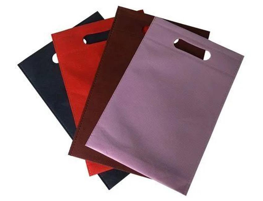 LBT_1_a-Non-Woven-Carry-Bag-005