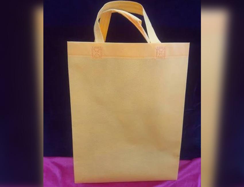 LBT_7_a-Non-Woven-Fabric-Bags-007