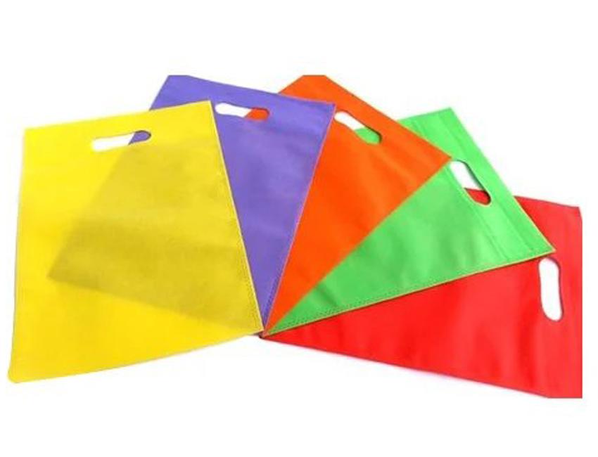 LBT_8_a-Non-Woven-D-Cut-Bags-002
