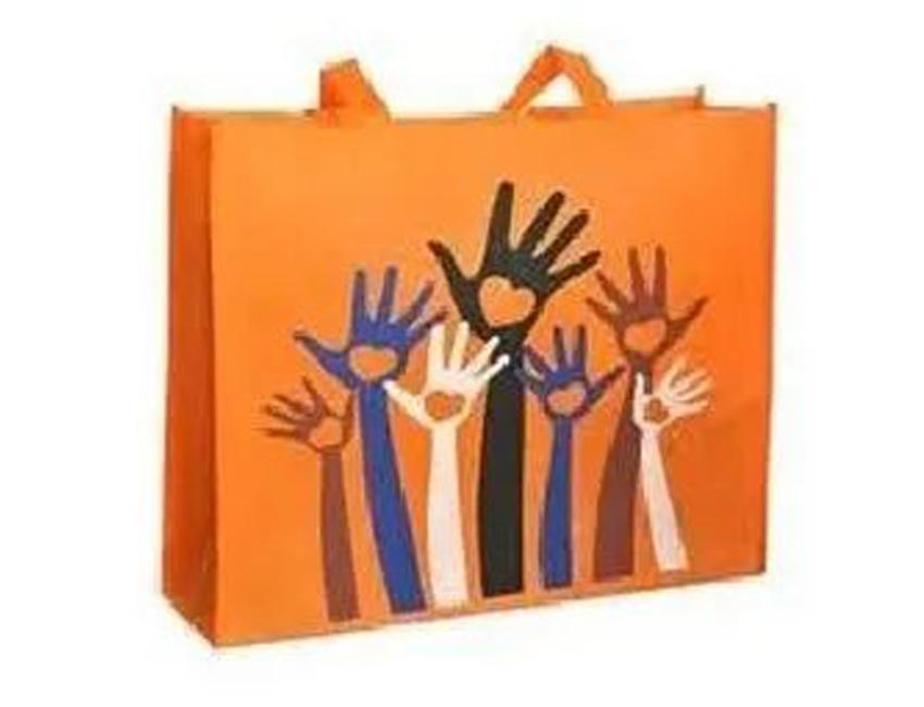 LBT_9_b-Non-Woven-Stitched-Bag-001